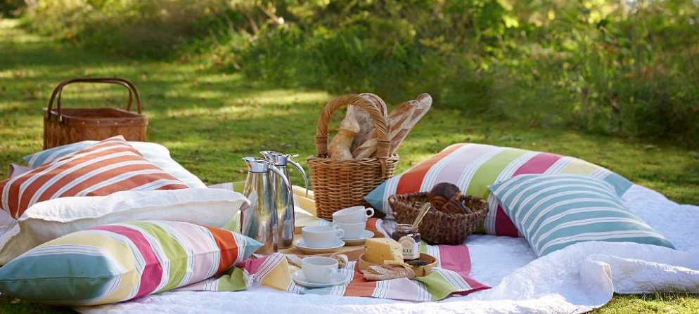 linum sorbet in lyra